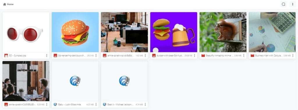 Share Files inside Any Page or Post