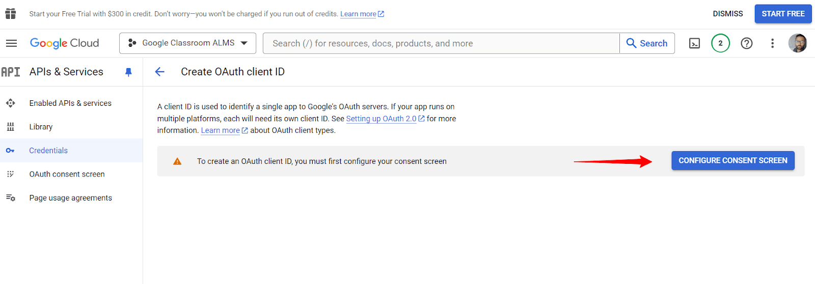 configure consent screen