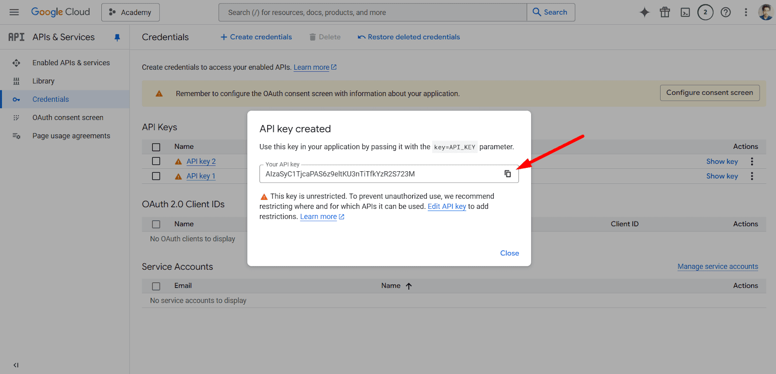 Generates the API key.
